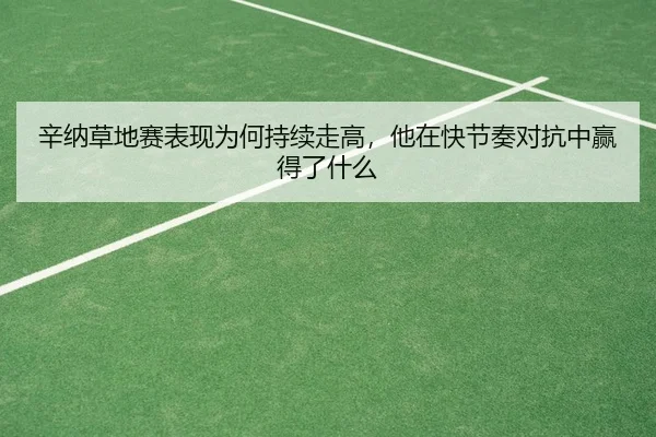 辛纳草地赛表现为何持续走高，他在快节奏对抗中赢得了什么（douyu）