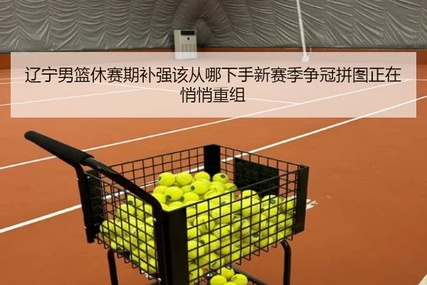 辽宁男篮休赛期补强该从哪下手新赛季争冠拼图正在悄悄重组
